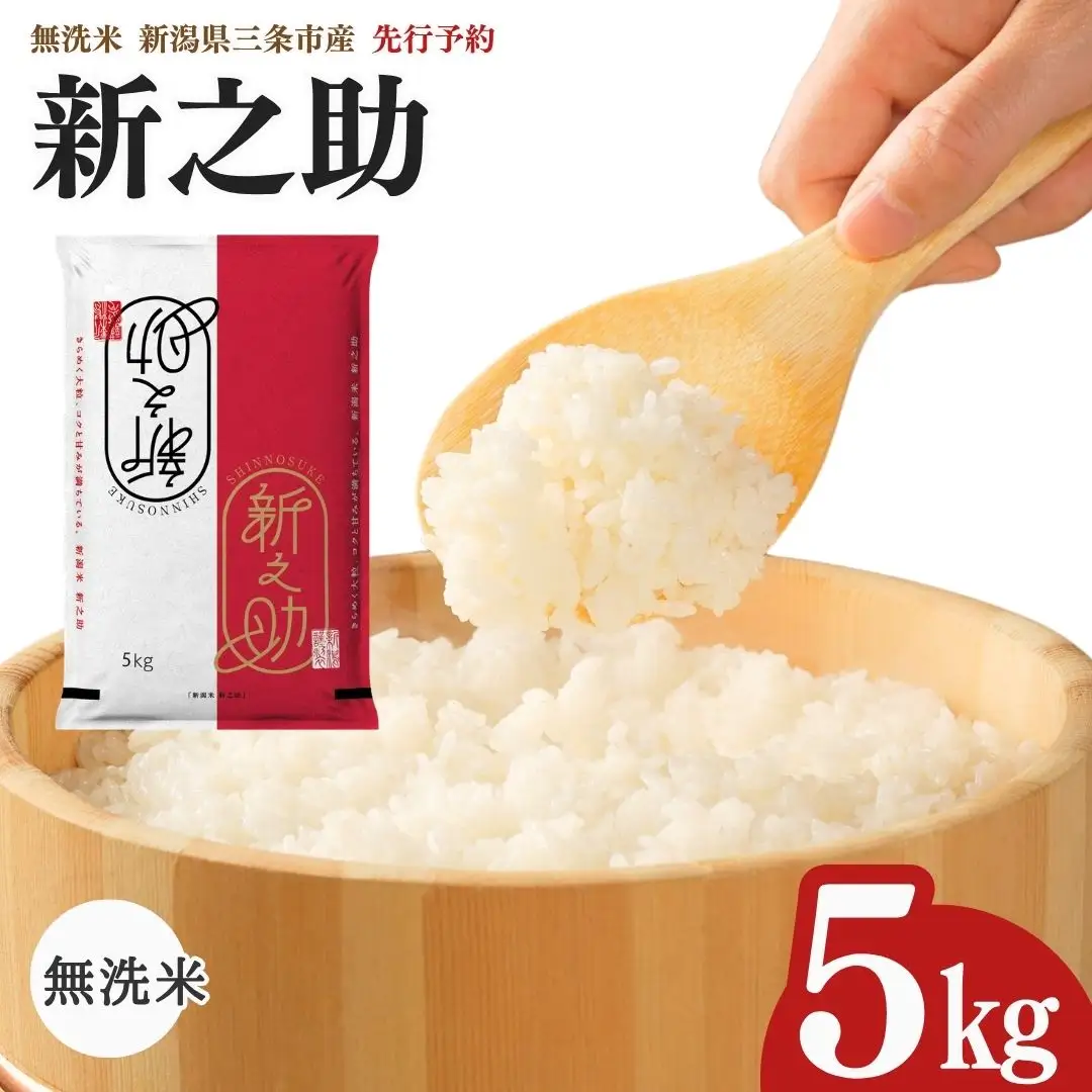 先行予約 新之助 無洗米 5kg 新潟県 三条市 新之助 令和8年 2026年