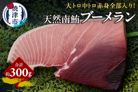 天然 南マグロ ブーメラン 約300g (a11-158)