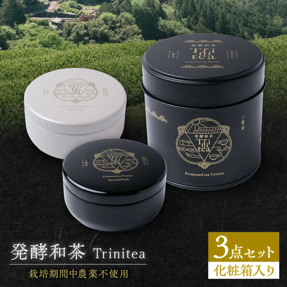 発酵和茶 Trinitea 3点セット 化粧箱入り / ヨリスグリ[AWBV001]和紅茶