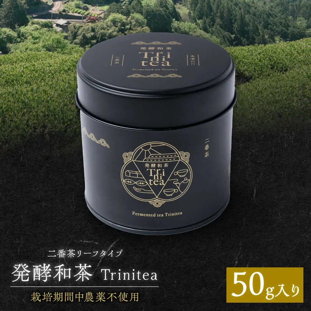 発酵和茶 Trinitea 二番茶リーフタイプ 50g / ヨリスグリ[AWBV003]和紅茶