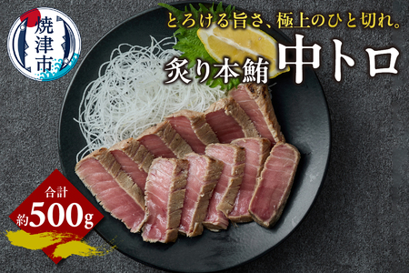 炙り 本鮪 中トロ 約500g (a15-678)