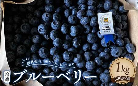 冷凍ブルーベリー1kg【5年連続最高金賞受賞 群馬県ブルーベリー品評会2021~2025年】 化学合成農薬 除草剤不使用 フルーツ 果物 F4H-0688
