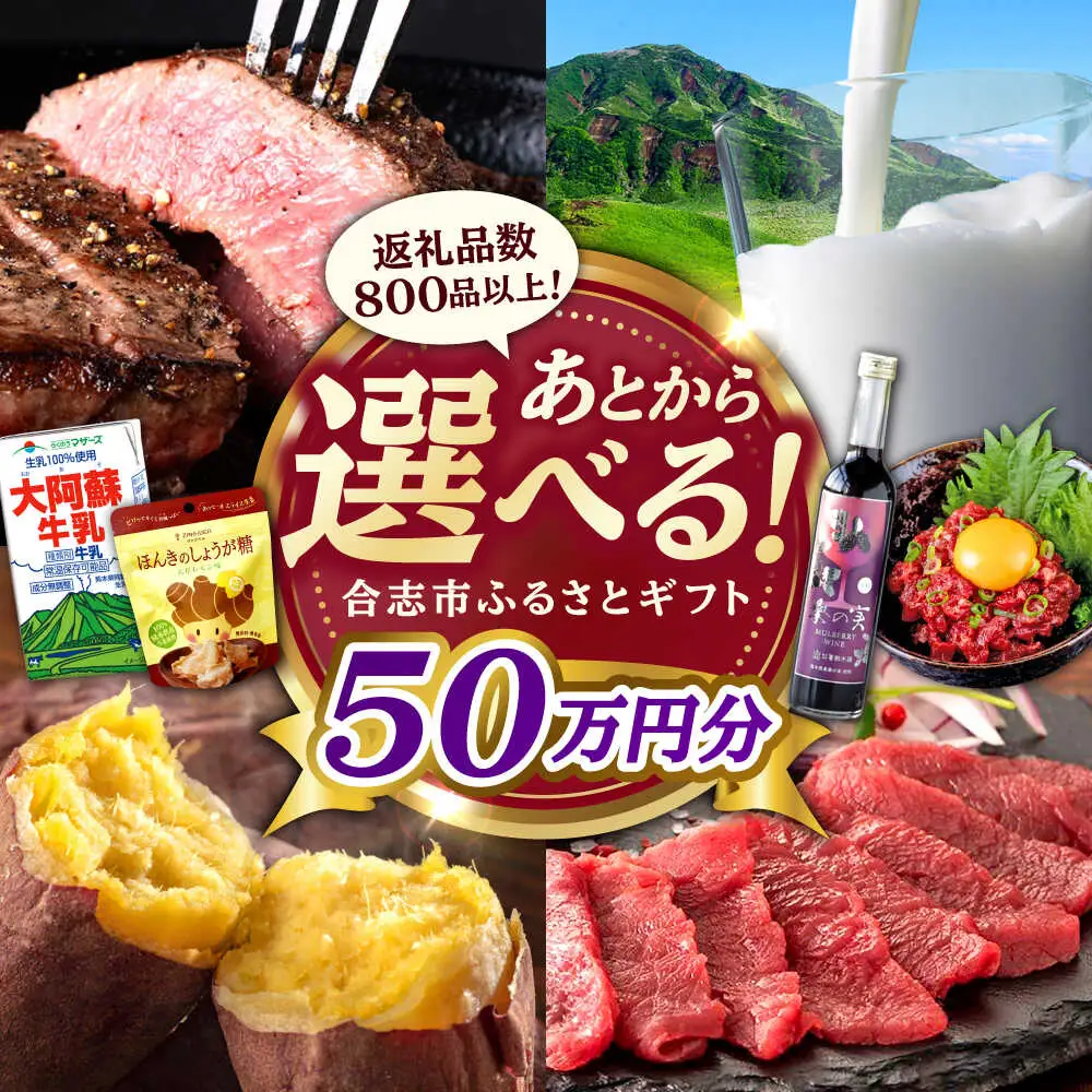 【あとから選べる！】合志市 ふるさとギフト 50万円分　【合志市役所】[AYBZ016]