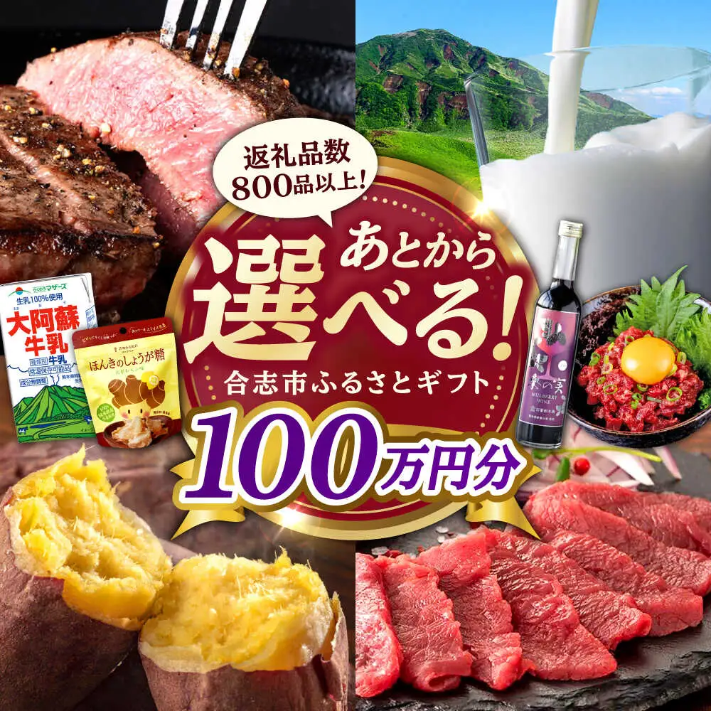 【あとから選べる！】合志市 ふるさとギフト 100万円分　【合志市役所】[AYBZ018]