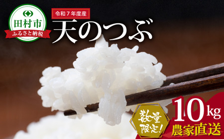 米 精米 令和7年産 福島県産 天のつぶ 10kg 田村市