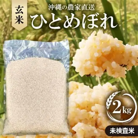 【令和8年産新米・栽培期間中農薬不使用】沖縄の農家直送 ひとめぼれ 玄米 2kg【1636996】