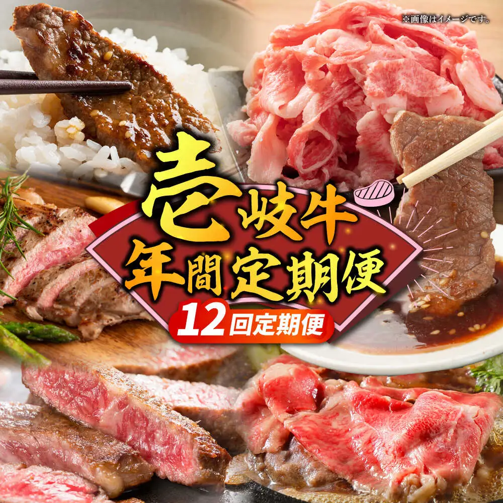 【全12回定期便】壱岐牛年間定期便 [JBO162] 肉 和牛
