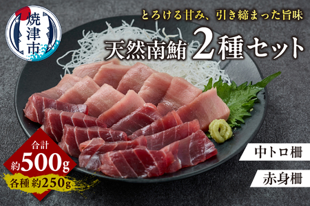 天然 南まぐろ 中トロ 赤身セット 約500g (a21-085)