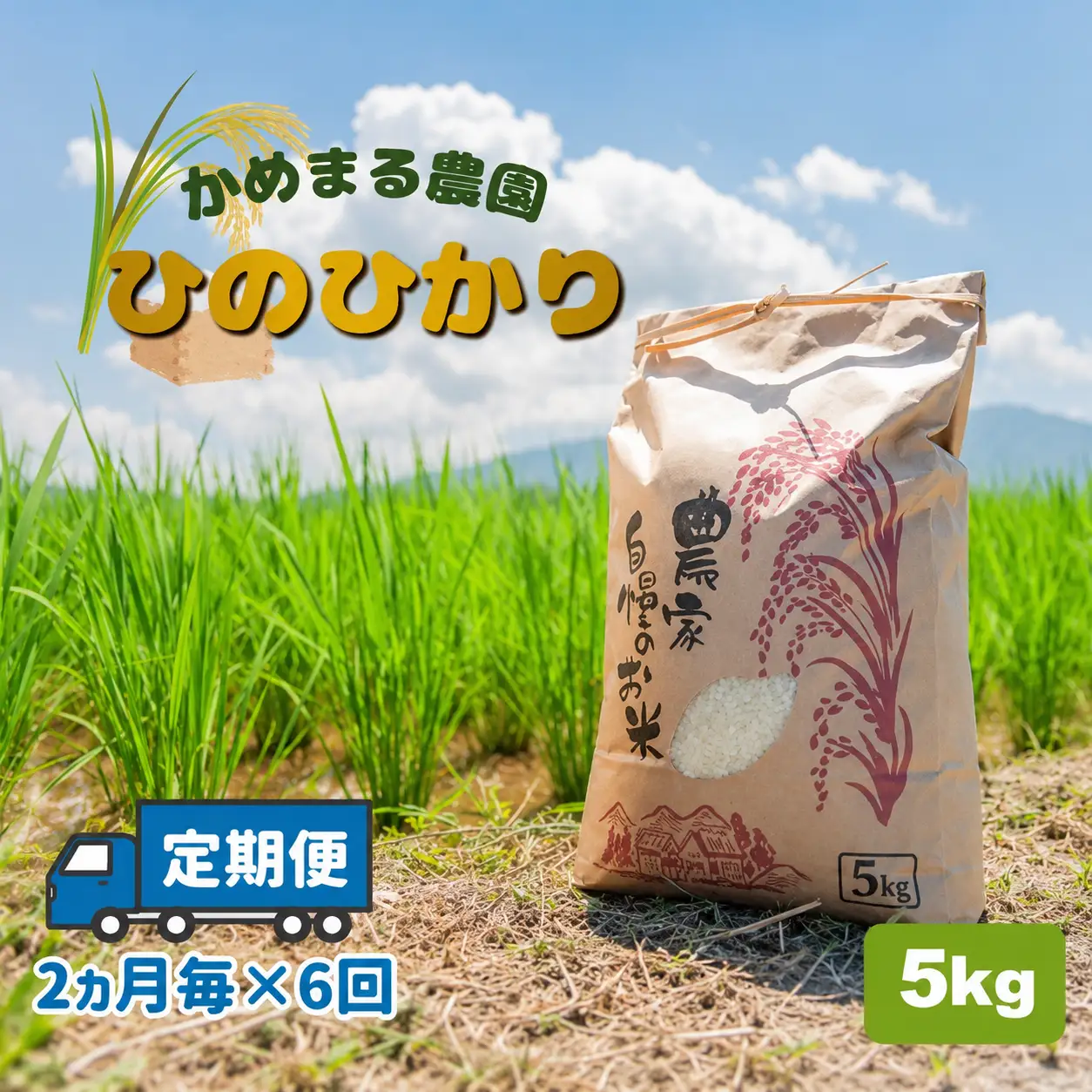 【 定期便 6回 】 米 ひのひかり 5kg（2ヶ月毎×6回）| かめまる農園