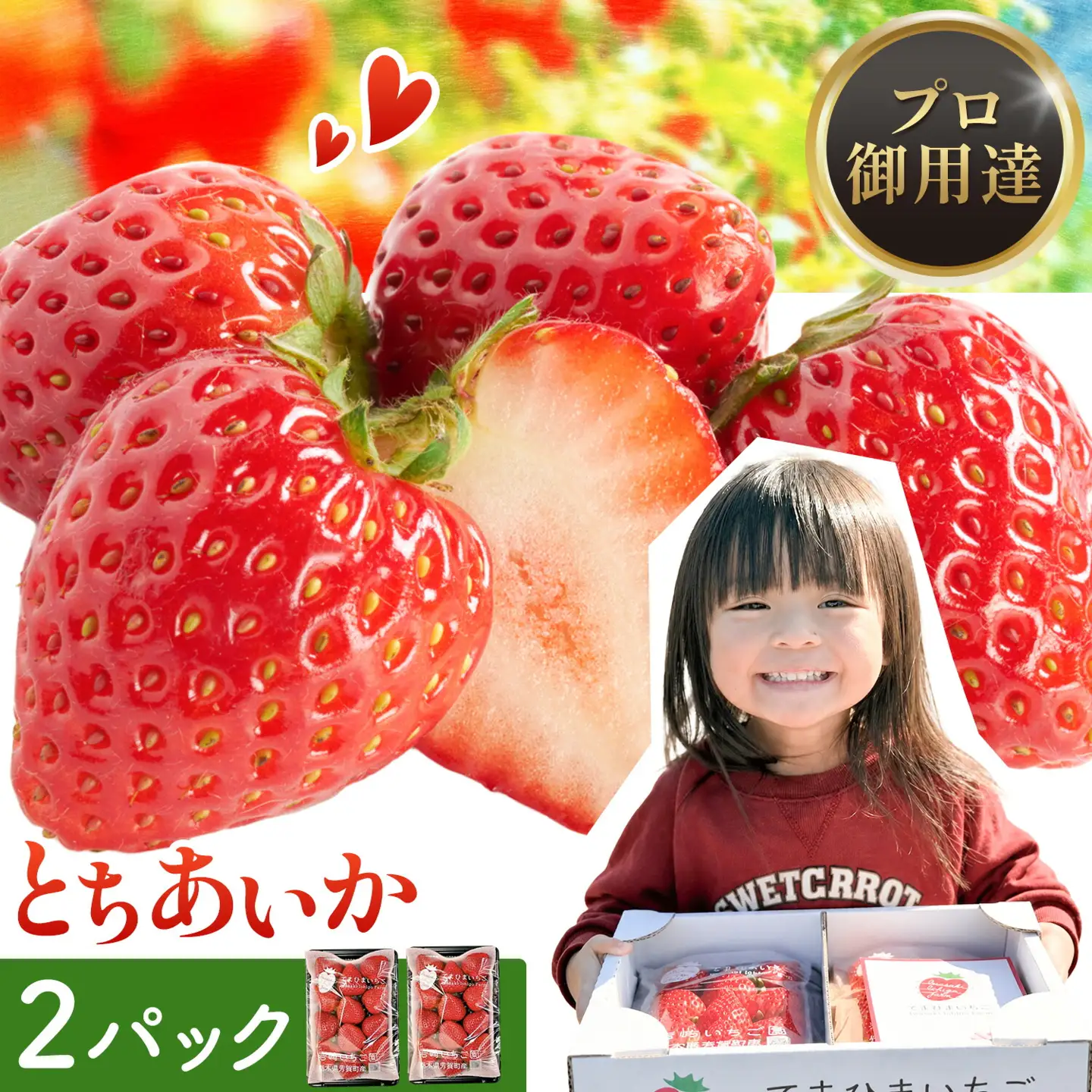 いちご 栃木県芳賀町産 とちあいか 2パック 岩崎いちご園