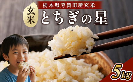 令和8年度産 とちぎの星 玄米5kg 栃木県芳賀町産 | 米 お米 玄米 ブランド米 特A評価 令和8年産 新米 とちぎの星 国産 単一米 数量限定《2026年9月中旬-2027年1月末頃出荷予定》