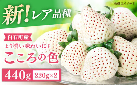 先行予約 2027年1月〜発送 こころの色 220g×2パック / いちご [IBJ010]