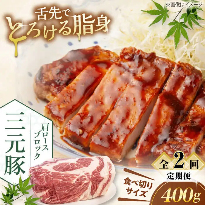 【全2回定期便】平田牧場 肩ロース ブロック 400g  豚肉 ローストポーク 煮豚 [AJAP160]