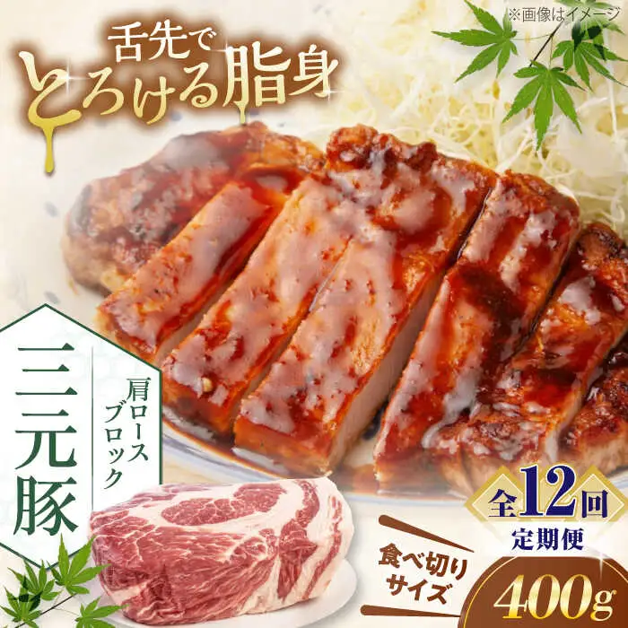 【全12回定期便】平田牧場 肩ロース ブロック 400g  豚肉 ローストポーク 煮豚 [AJAP163]