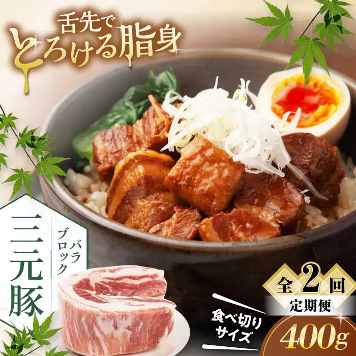 【全2回定期便】平田牧場 バラ ブロック 400g  豚肉 煮豚 煮物 [AJAP170]