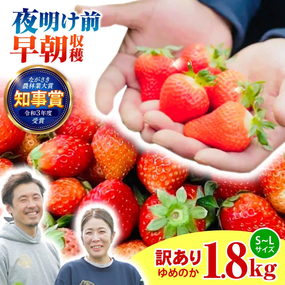 ※【2027年3月上旬頃より順次発送／先行予約】【訳あり】【とろける甘さ、弾ける果汁！】いちご「ゆめのか」 S-Lサイズ 1.8kg / 訳あり 訳あり商品 訳あり果物 果物訳あり いちご イチゴ 苺 イチゴジャム / 諫早市 / むらたサービス [AHFA003]