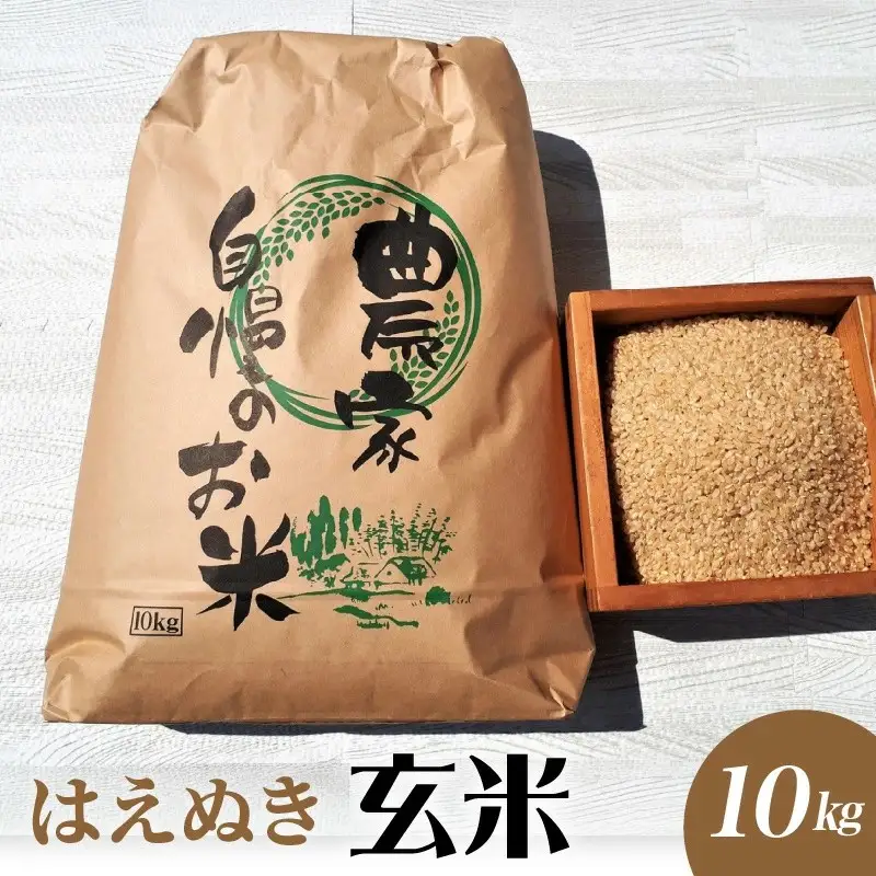 【２０２６年９月中旬～発送】令和８年産　はえぬき（玄米）１０ｋｇ　0056-2627