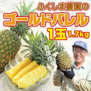 パイナップル ゴールドバレル 1玉 2㎏ ふくしま農園