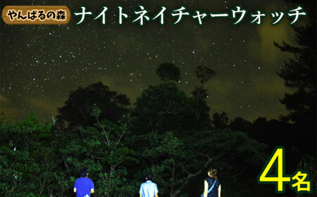 やんばるの森 ナイトネイチャーウォッチ 4名様