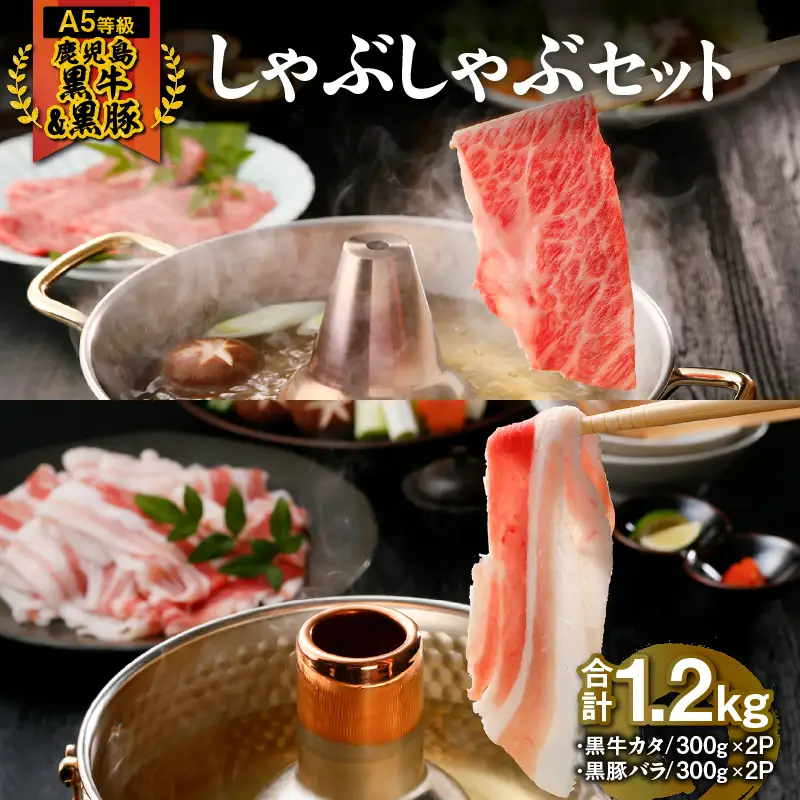 746-2 （A-2101）【5等級】鹿児島黒牛・鹿児島黒豚しゃぶしゃぶセット KN009-002 肉 豚肉 牛肉