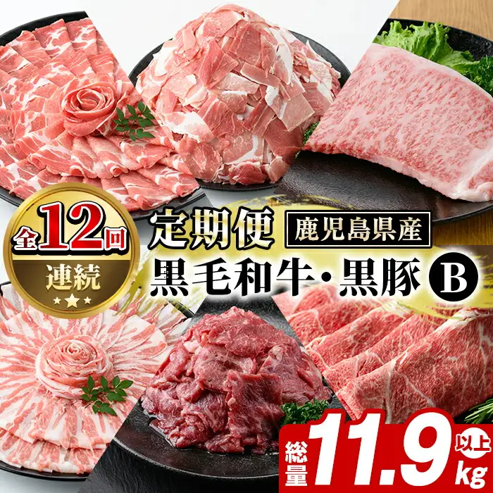 ＜定期便・全12回(連続)＞鹿児島県産 黒毛和牛・黒豚定期便 B (総量約11.9kg以上) 国産 鹿児島県産 黒豚 しゃぶしゃぶ 肩 ロース スライス 訳あり 切り落とし 黒毛和牛 サーロイン ステーキ 黒豚 バラ カタ ウデ 小分け セット 【スターゼン】akn042-36