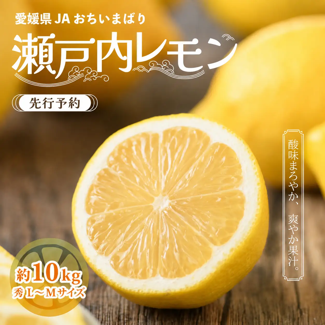 【先行予約】瀬戸内レモン 約10kg L～Mサイズ レモン