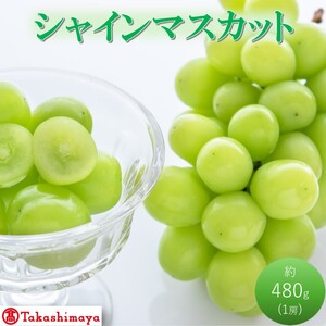 シャインマスカット 高島屋選定品 岡山県産 シャインマスカット【約480g×1房】【先行予約】