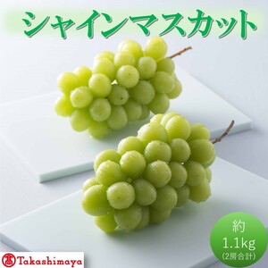 シャインマスカット 高島屋選定品 岡山県産 シャインマスカット【約1.1kg 2房】【先行予約】