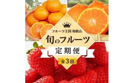 【全3回定期便】 フルーツ大国 和歌山 よりお届け！旬の フルーツ 定期便 B【田村みかん・まりひめ・紀州デコ】 / みかん いちご 甘い 定期便 ※離島配送不可