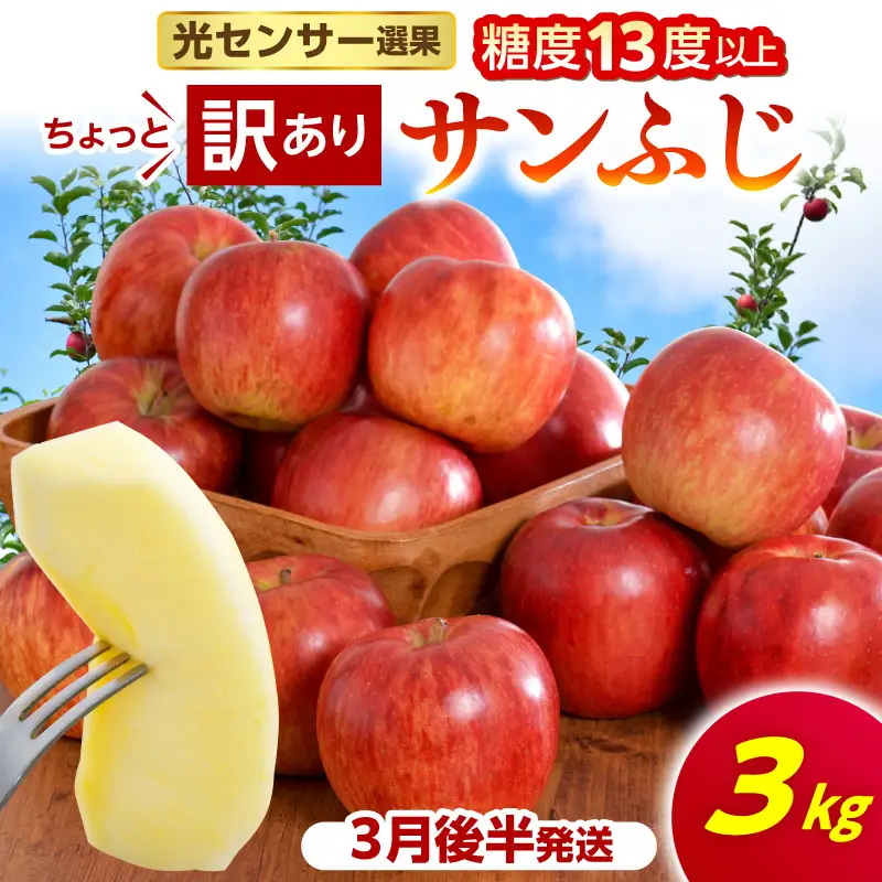 【2027年3月後半発送】【ちょっと訳あり】 りんご 約3kg サンふじ 青森県産 りんご