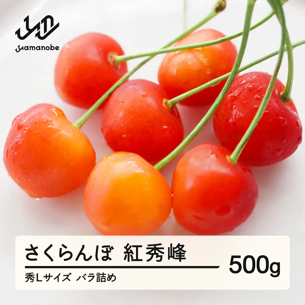 《先行予約》 さくらんぼ 紅秀峰 秀Lサイズ 500g バラ詰め 2027年産 令和9年産 山形県産 ns-bsslb500