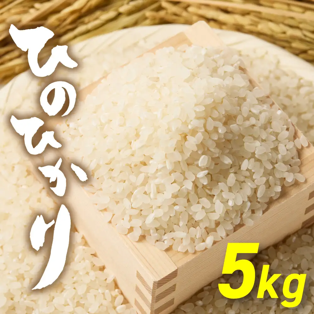 令和7年産  「ひのひかり」5kg【ほたるの里】_HA1786