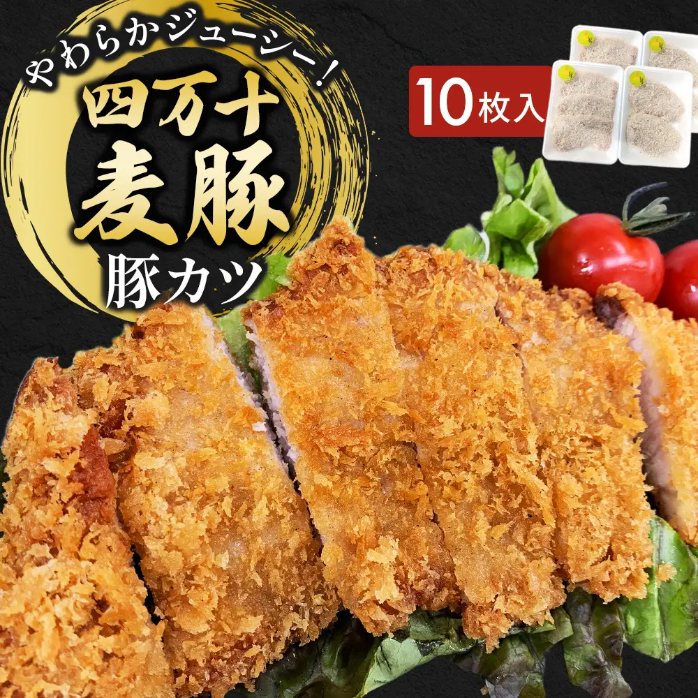 四万十麦豚 豚カツ （約100g×10枚）麦豚 トンカツ 冷凍 背ロース Ahc-18