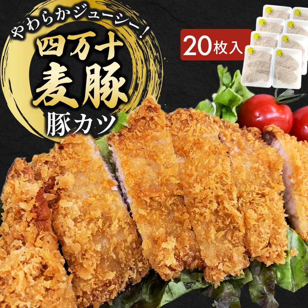 四万十麦豚 豚カツ （約100g×20枚）麦豚 トンカツ 冷凍 背ロース Ahc-20