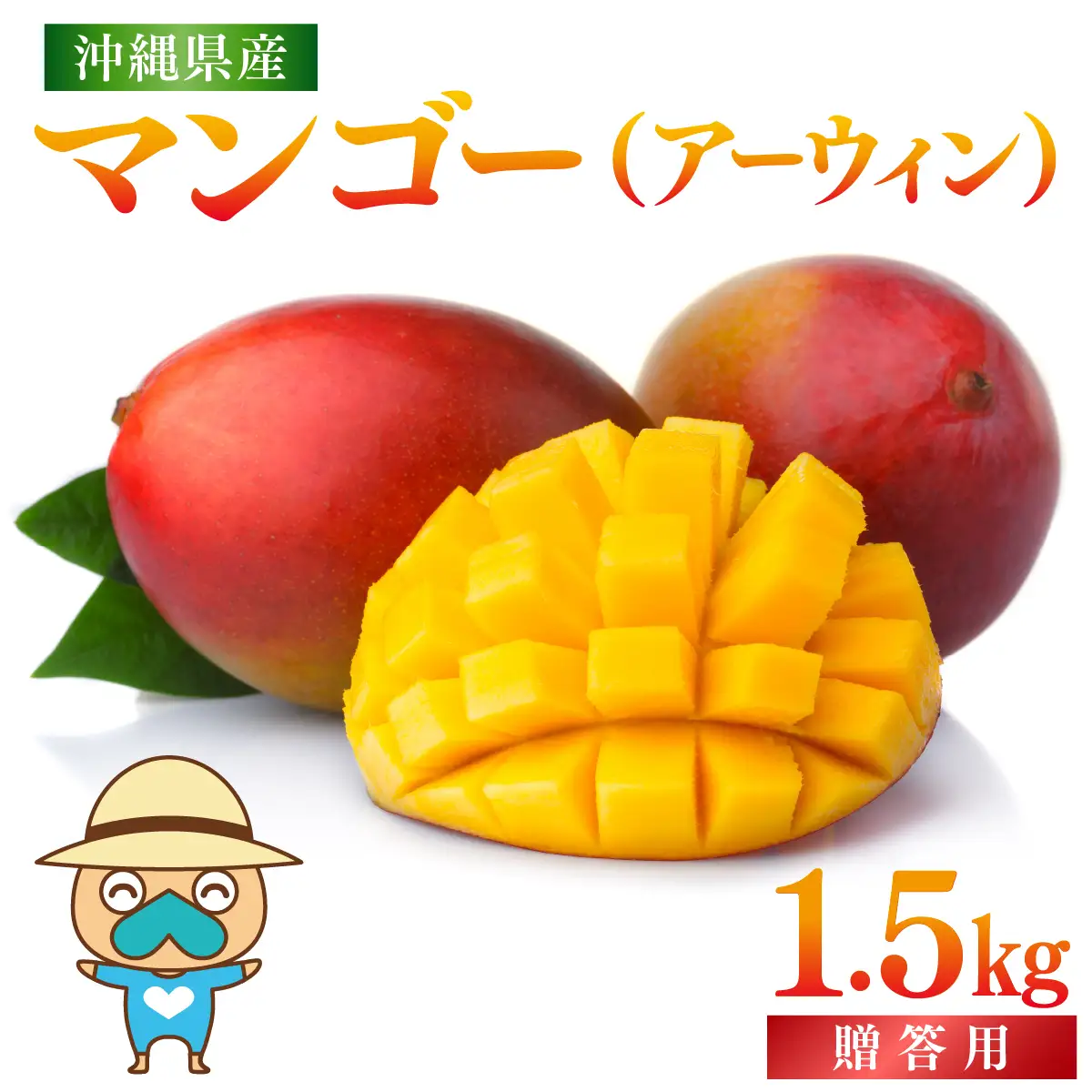 ＜先行予約＞宮平農園のマンゴー1.5kg【アーウィン・贈答用】 I  マンゴー まんごー フルーツ ギフト 1.5kg 宮平農園 アーウィン 先行予約 数量限定   沖縄県 南城市 ふるさと納税 合同会社宮平農園