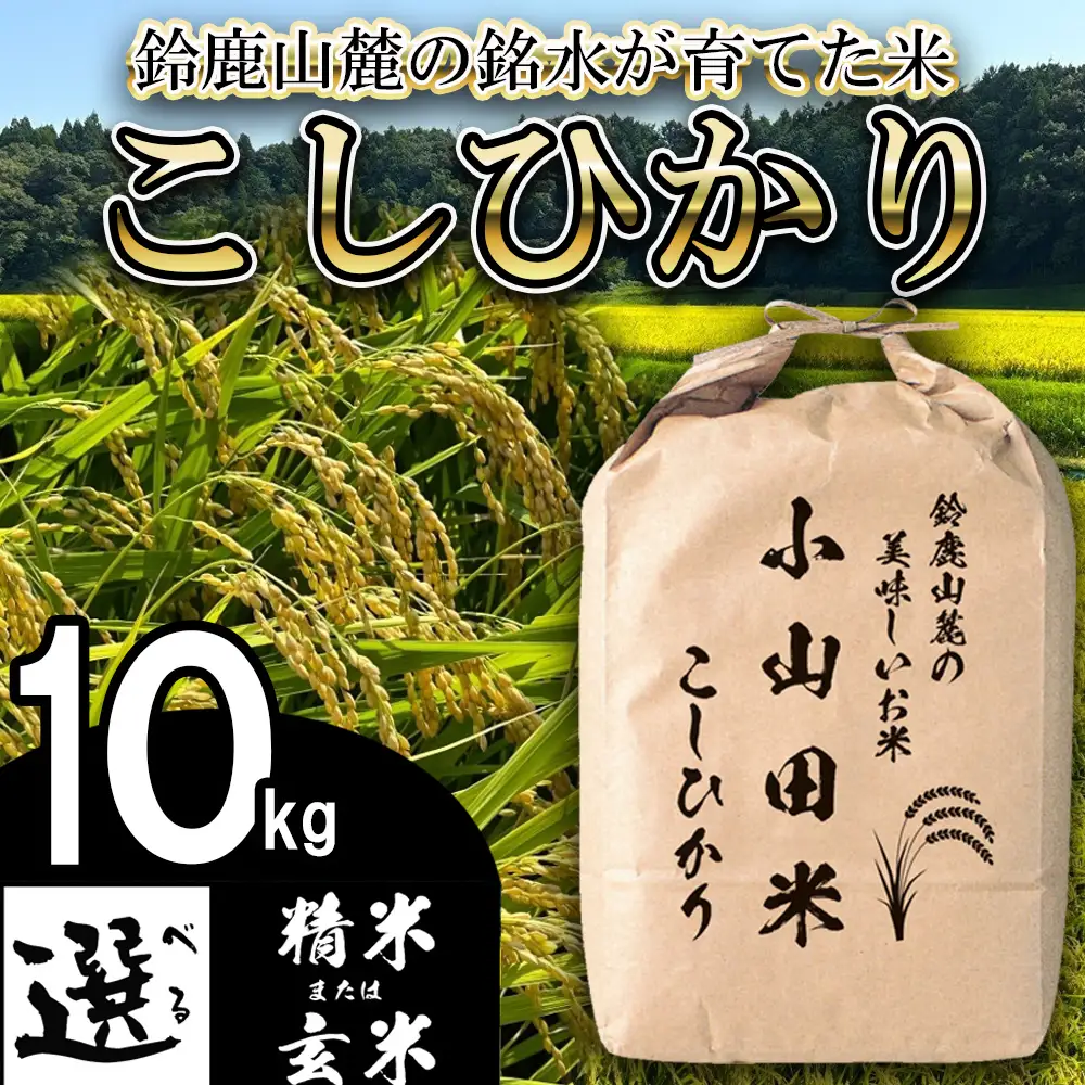 【令和８年産】新米 こしひかり（玄米）10kg 鈴鹿山麓の銘水が育てた米 l 米どころ 三重県産 小山田地区  小山田米  米 コメ 白米 精米