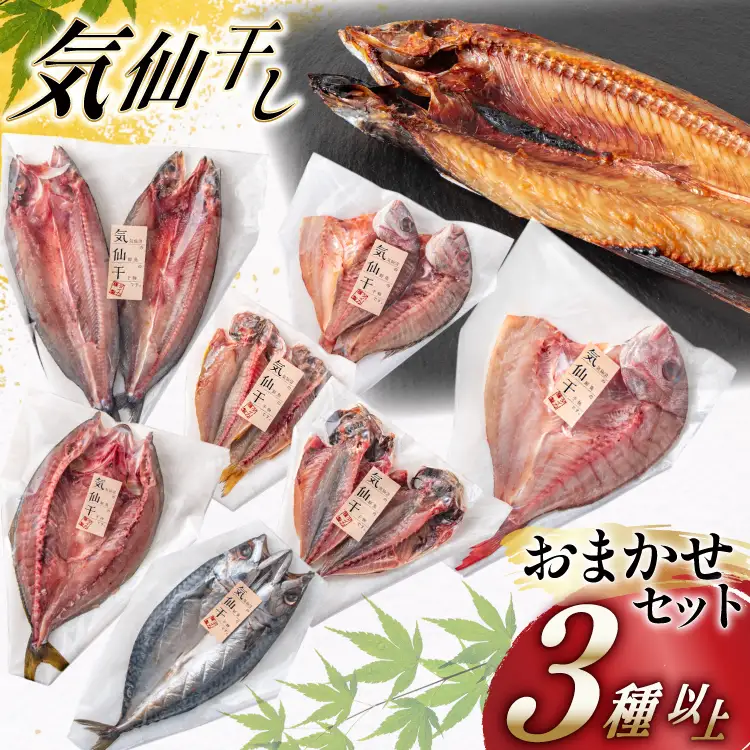 干物 気仙干し 干物おまかせセット 3種 