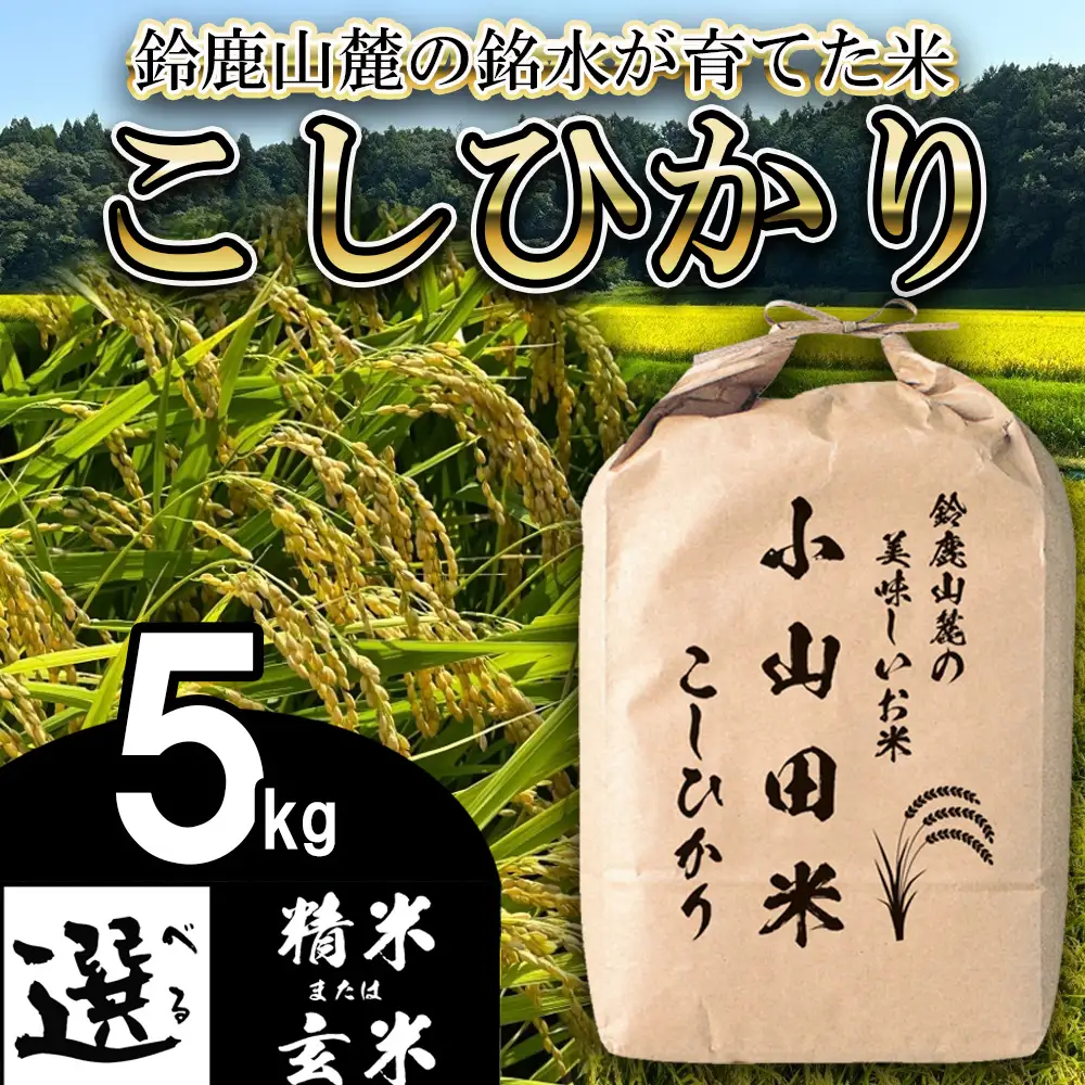 【令和８年産】新米 こしひかり（玄米）5kg 鈴鹿山麓の銘水が育てた米 │ 米どころ 三重県産 小山田地区  小山田米  米 コメ 白米 精米