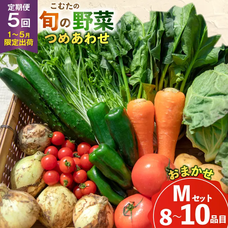 AJ434 【5回定期便】【1～5月限定出荷】こむたの旬の野菜 (8～10品目) おまかせMセット