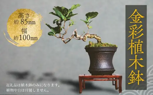 金彩植木鉢 ミニ盆栽 多肉植物 手作り 植木鉢 うえきばち 一点もの 鉢 観葉植物 ガーデニング おしゃれ こだわりの逸品 地域特産品 ギフト 自分用 人気 おすすめ 大阪 河内長野 プレゼント 父の日 母の日 敬老の日 誕生日 お祝い 陶芸  