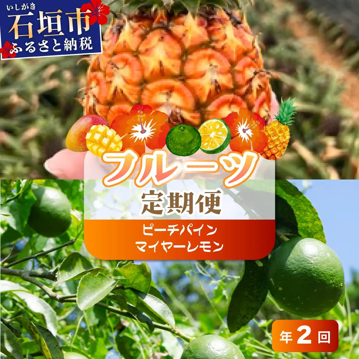 【定期便】よくばり定期便（ピーチパイン、マイヤーレモン）年2回 《2027年4月以降発送》