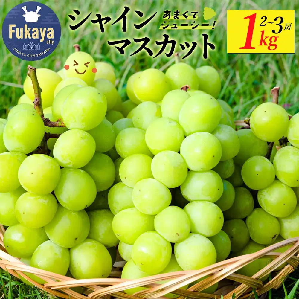 シャインマスカット　1kg　【11218-0921】