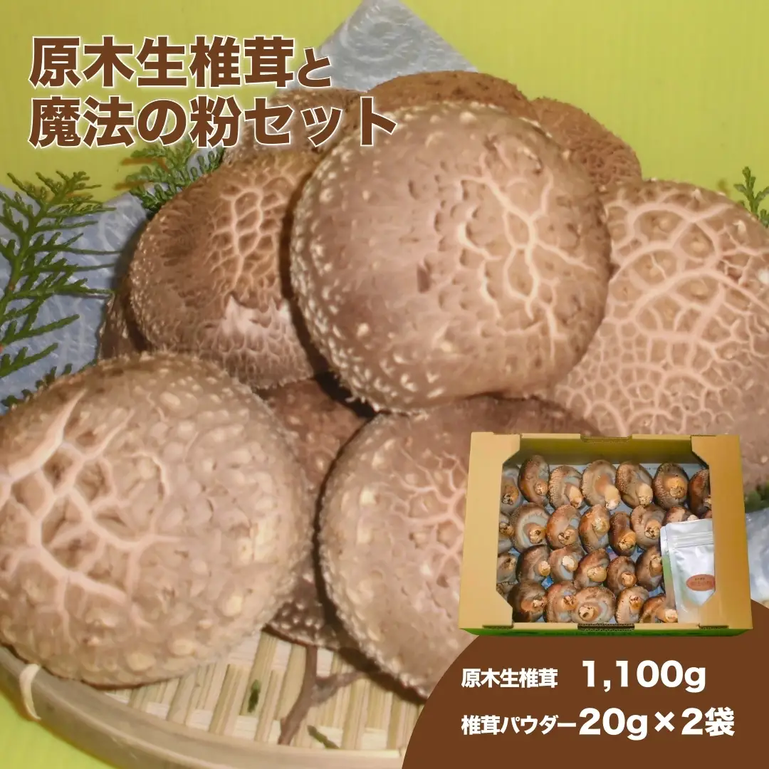 原木生椎茸＋魔法の粉(原木生椎茸＋乾し椎茸パウダー)