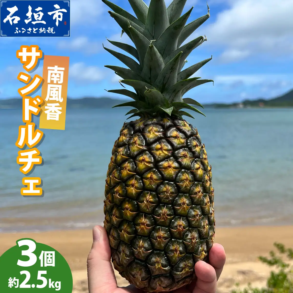 【先行予約】南風香 サンドルチェ 3玉 約2.5kg