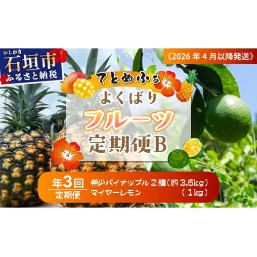 果物好きにおすすめ！希少なパイナップル2品種＆青切りマイヤーレモンの定期便　年3回に分けてお送りします 《2027年4月以降発送》