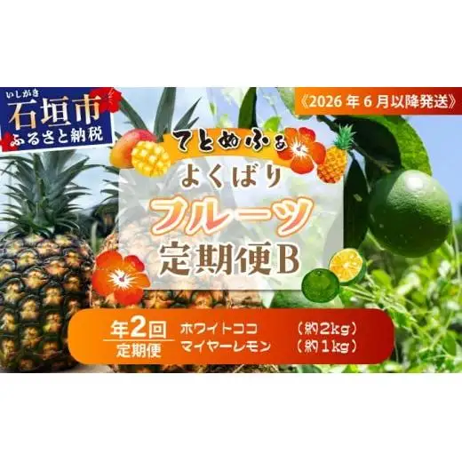 マツコの知らない世界で紹介！幻のホワイトココ＆青切りマイヤーレモンの定期便 年2回に分けてお送りします《2027年6月以降発送》