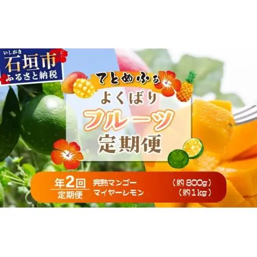 最高糖度20度！？完熟マンゴーと青切りマイヤーレモンの定期便！！年2回に分けてお送りします《2027年6月以降発送》