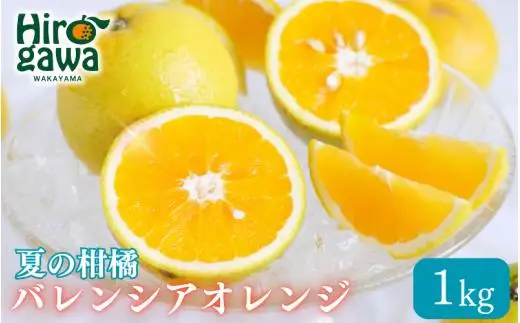バレンシアオレンジ 家庭用 1kg+250g(痛み補償分) / みかん オレンジ 甘い 高級 和歌山 柑橘 ※6月中旬頃〜8月上旬頃に順次発送 ※北海道・沖縄・離島への配送不可 【ikd027-c-1】