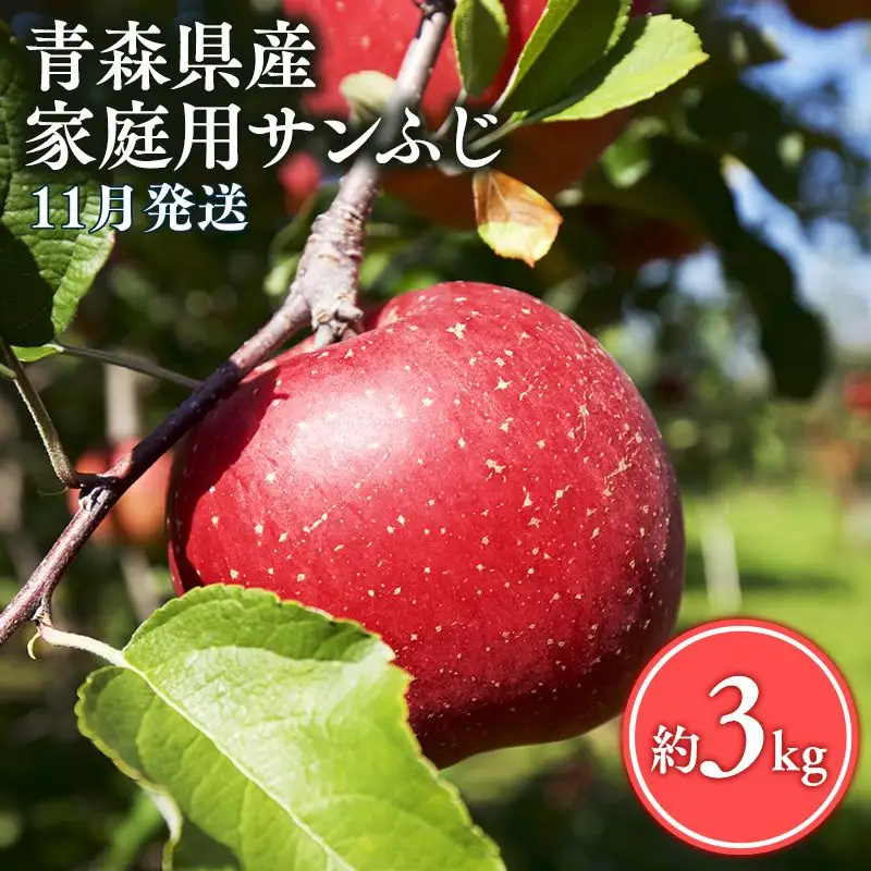 りんご 家庭用 サンふじ3㎏ りんご