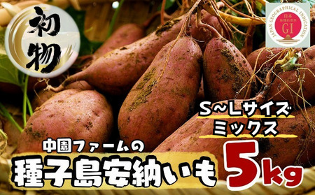 【初物 8月下旬～9月上旬 発送 】中園ファーム 種子島 安納いも ( 生芋 ) 本場 安納 地域産 Mix 5kg　NFN626【250pt】 // 早掘り 安納芋発祥の地 安納地域 本場 安納芋